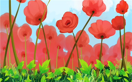 明星故事 我是特种兵演员主要有……     强晓伟草原狼强小伟.